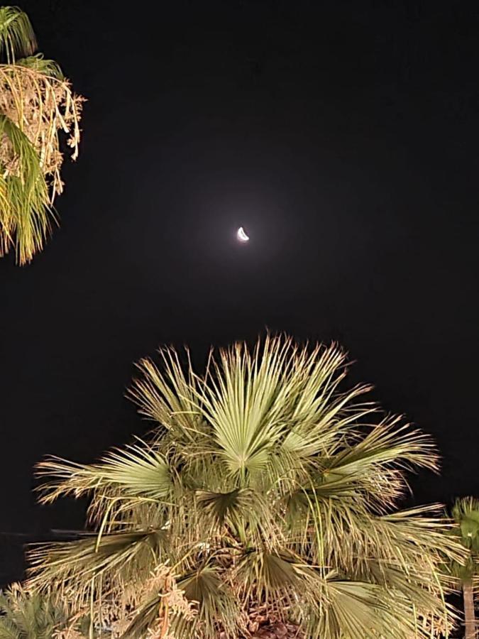 Alex Beach Apartment 31 Larnaca Exteriör bild